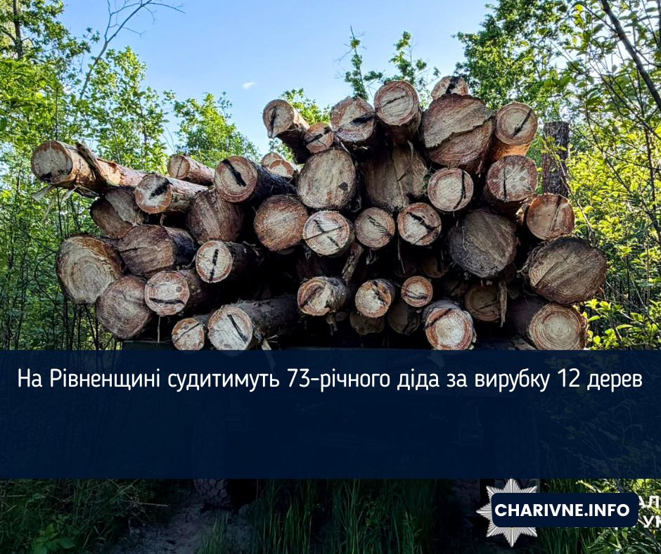 На Рівненщині судитимуть 73-річного діда за вирубку 12 дерев